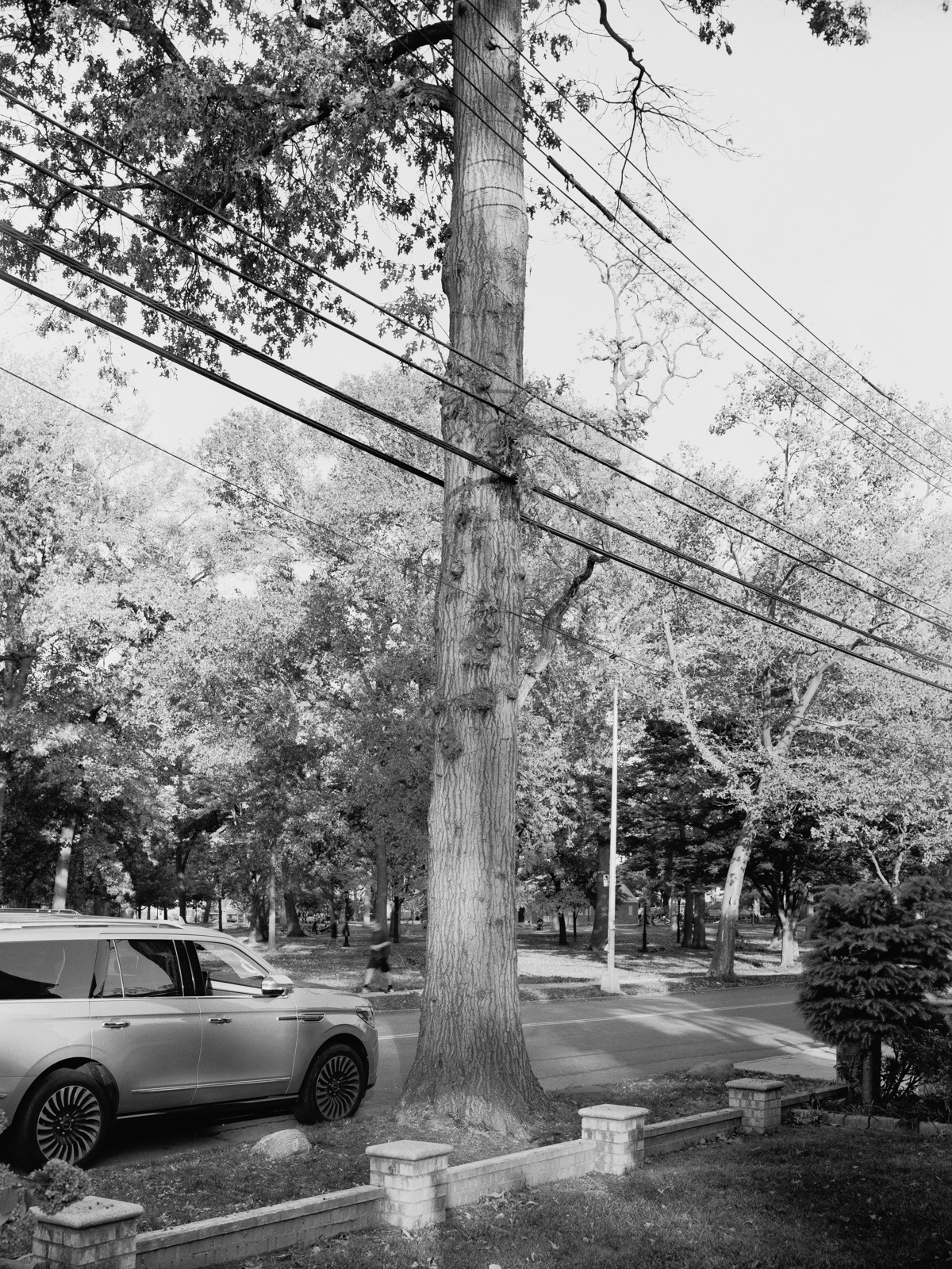 Uneasy Engagement Print C - Image 3