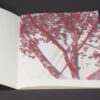 Uneasy Engagement Stereoscopic - Image 4
