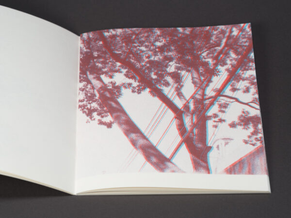 Uneasy Engagement Stereoscopic - Image 4