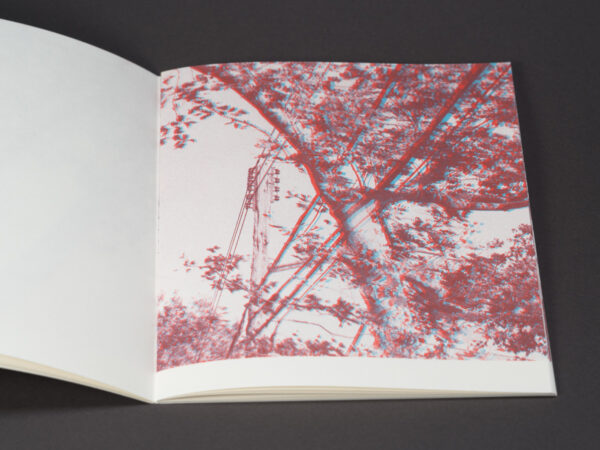 Uneasy Engagement Stereoscopic - Image 5
