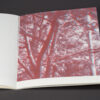 Uneasy Engagement Stereoscopic - Image 6