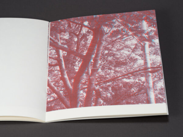 Uneasy Engagement Stereoscopic - Image 6