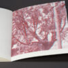 Uneasy Engagement Stereoscopic - Image 7