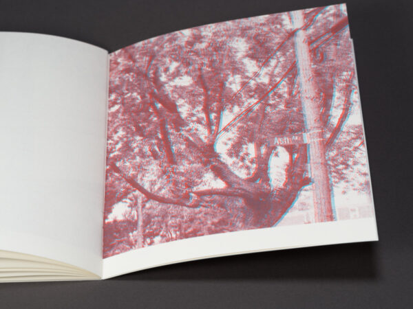 Uneasy Engagement Stereoscopic - Image 7