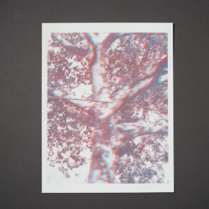 Uneasy Engagement Print E