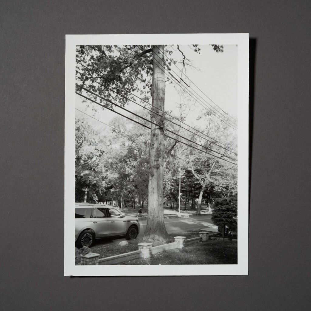 Uneasy Engagement Print C