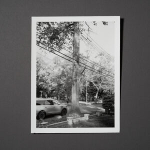 Uneasy Engagement Print C