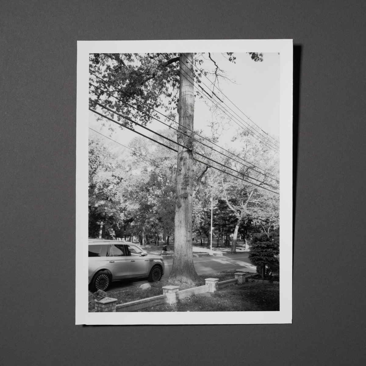 Uneasy Engagement Print C