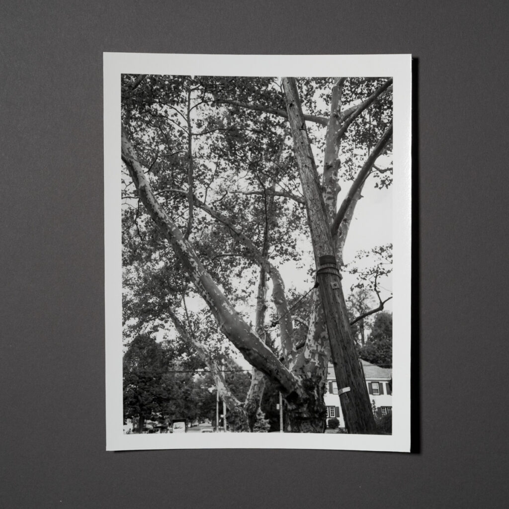Uneasy Engagement Print D