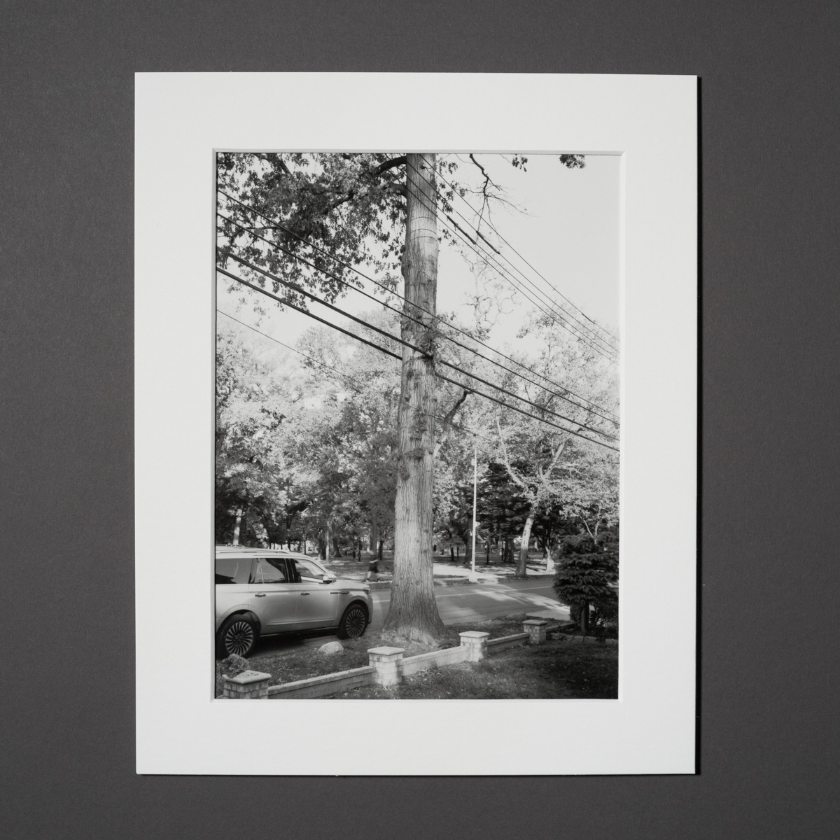 Uneasy Engagement Print C - Image 2