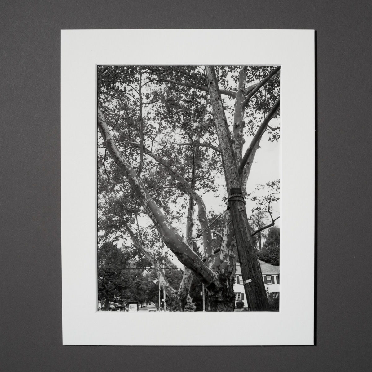 Uneasy Engagement Print D - Image 2