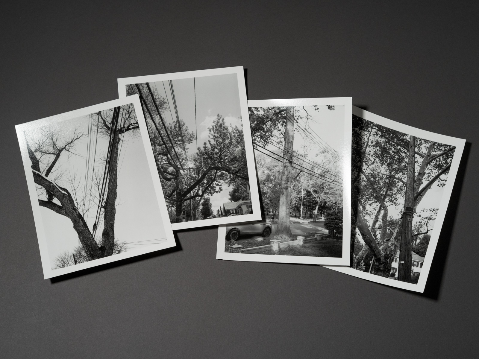 Uneasy Engagement Print C - Image 4